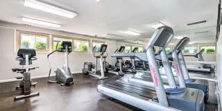 Cinnamon Run at Peppertree Farm Gallery 20