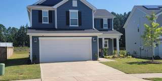 330 Purple Aster Street Gallery 1