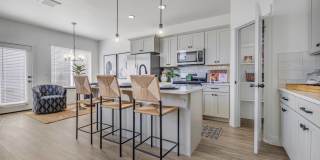 Mt. Rainier Gallery 14