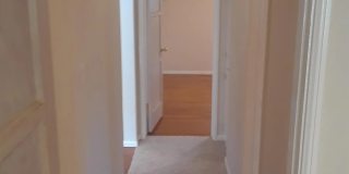 510 Tarento Gallery 38