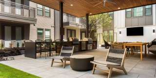 Troubadour Gallery 25