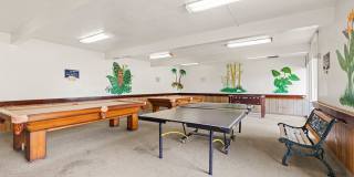 3054 Rue Dorleans Gallery 40