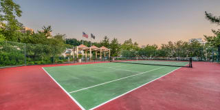 Windsor at Mariners Gallery 4