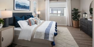 Harvest in Tracy Gallery 17