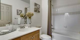 Summerfield at Morgan Metro Gallery 21