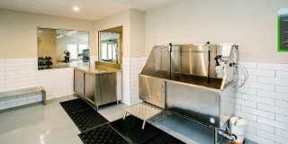 Bloom Apartment Homes Gallery 72