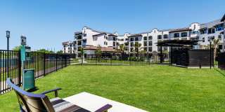 Arista at Riverstone Age 55+ Apartment Homes Gallery 18