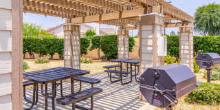 Aspire Rialto Gallery 4