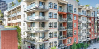 Maia Avira at Glendale Gallery 4