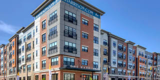 One Harrison Gallery 1