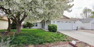 Clean & Move-In Ready Single-Level Home Gallery 1
