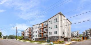 Allegro Lynwood Gallery 29