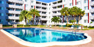 Suncoast Place Gallery 5