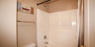 23893 N Desert Agave St Gallery 14