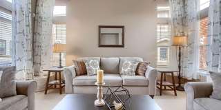 Highlands Ranch Spacious 3 bed 2.5 bath Gallery 9