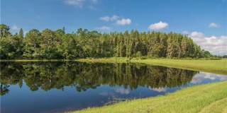 12311 Ballentrae Forest Dr Gallery 19
