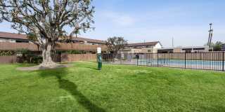 Newland Garden Gallery 11