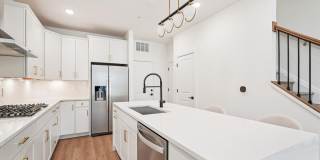 19820 LAVENDER DUST Square Gallery 1