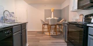 The Palmera Gallery 6
