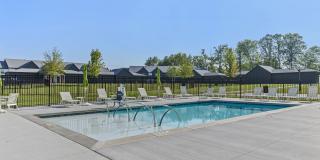 River Birch Apartments Gallery 4