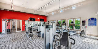 Cortland Hunter's Creek Gallery 18