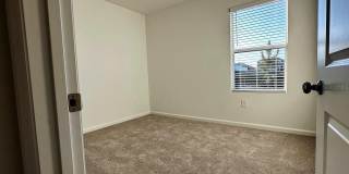 339 PUMA LOOP Gallery 13