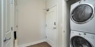 TGM Northshore Gallery 53