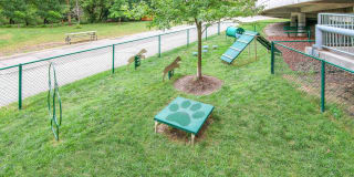 Kingston Pointe Apartments Gallery 29