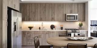 Springline Menlo Park Gallery 18