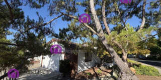 1257 Cougar Lane Gallery 25
