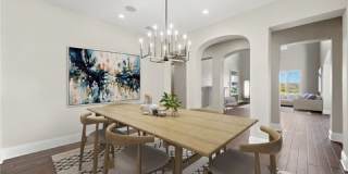 4 Coral Cay Gallery 11