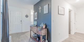 12634 CACAO TREE Trail Gallery 5