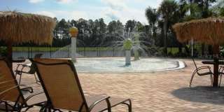 2933 BANANA PALM Drive Gallery 52