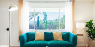 61740 Oleander Drive Gallery 1