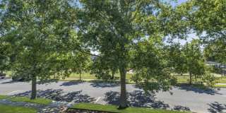 420 Tuttle Avenue Gallery 22