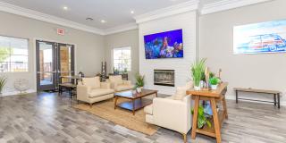 The Solena Gallery 19