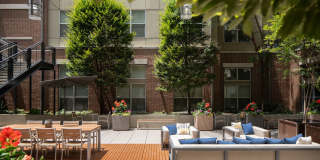 The Frasier Gallery 12