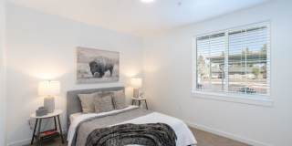 Red Hawk and Laurel Grey Gallery 7