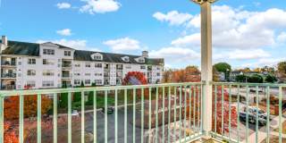 TGM Anchor Point Gallery 15