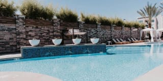 Tanager Tanager Gallery 2