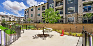 Aspire at Live Oak Aspire at Live Oak Gallery 68