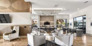 The Aster at Mountain Vista - BRAND NEW Gallery 30