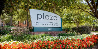 Plaza at Westchase Gallery 30