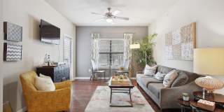 Platinum Shavano Oaks Gallery 21