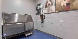 Wave Lakeview Gallery 23