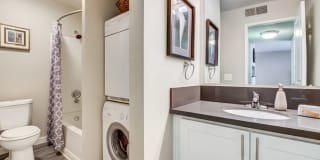 The Alexandar Gallery 5