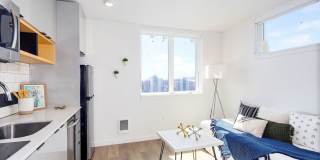 Luna Gallery 1