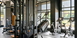 Madison West Elm Gallery 66