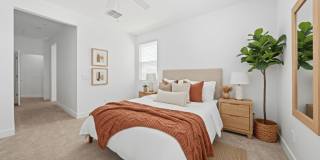 Sierra Verde Gallery 6