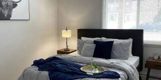 Springtree Gallery 3